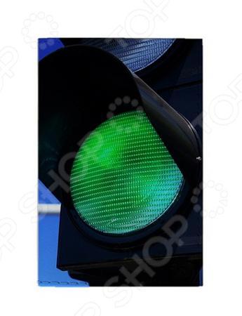 Обложка для документов Mitya Veselkov