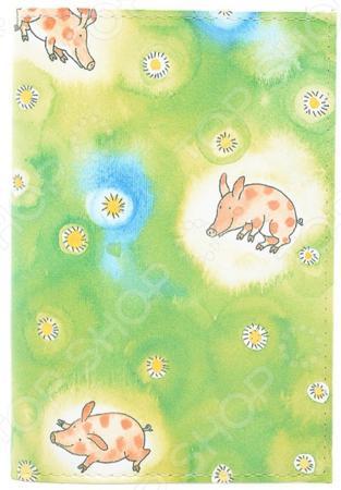 Обложка для документов Mitya Veselkov