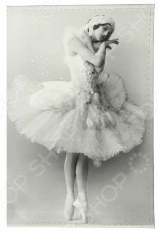 Обложка для документов Mitya Veselkov