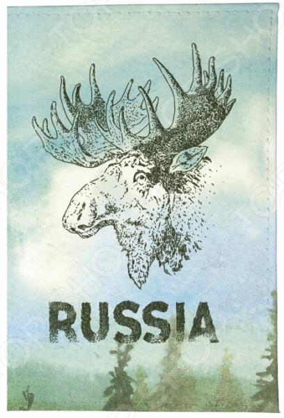 Обложка для документов Mitya Veselkov
