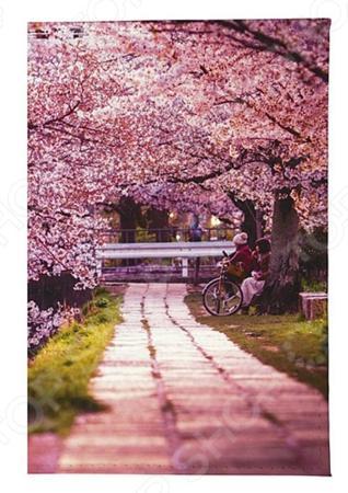 Обложка для документов Mitya Veselkov