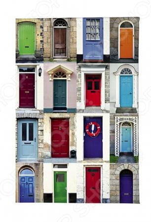 Обложка для документов Mitya Veselkov