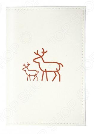 Обложка для документов Mitya Veselkov