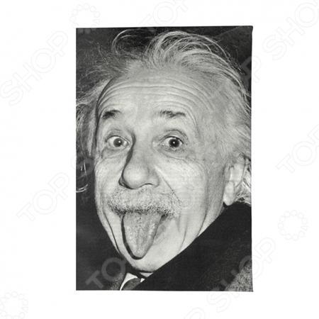 Обложка для документов Mitya Veselkov