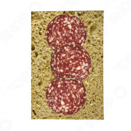 Обложка для документов Mitya Veselkov