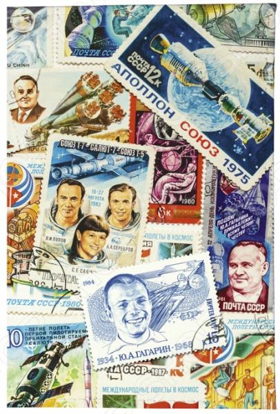 Обложка для документов Mitya Veselkov