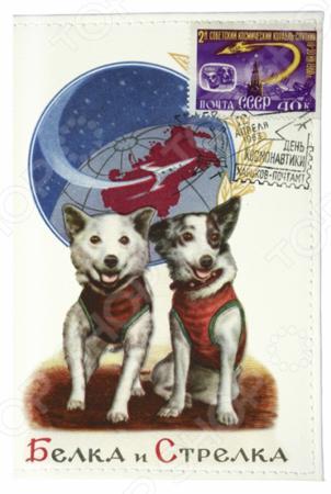 Обложка для документов Mitya Veselkov