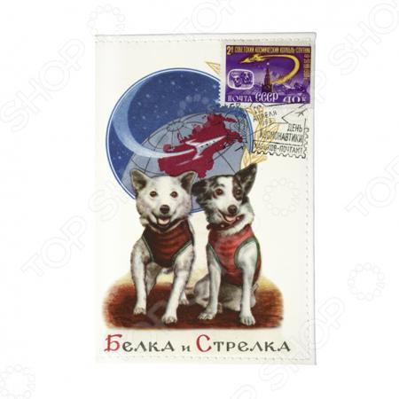 Обложка для документов Mitya Veselkov