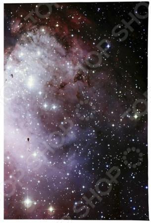 Обложка для документов Mitya Veselkov