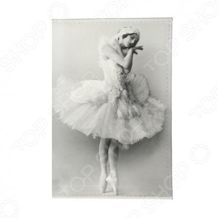 Обложка для документов Mitya Veselkov