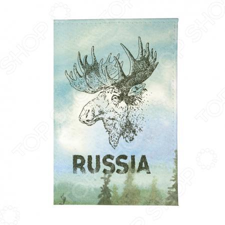 Обложка для документов Mitya Veselkov