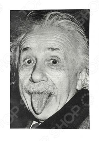 Обложка для документов Mitya Veselkov