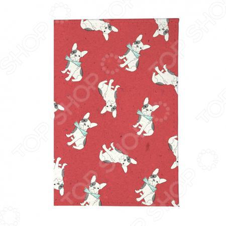 Обложка для документов Mitya Veselkov