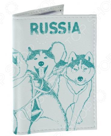 Обложка для документов Mitya Veselkov