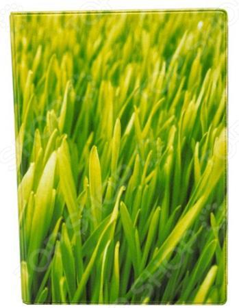 Обложка для документов Mitya Veselkov