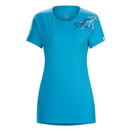 Футболка Arcteryx