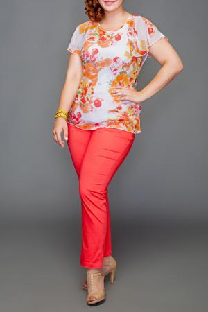 Блузка LacyWear