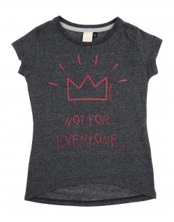 Футболка SHOESHINE