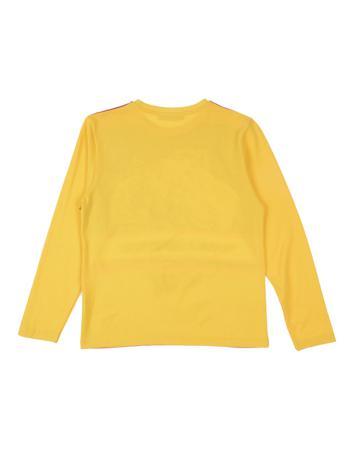 Футболка ETRO