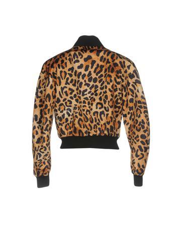 Куртка DSQUARED2