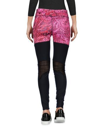 Легинсы STEVE MADDEN