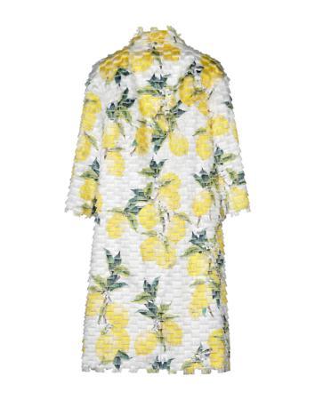 Пальто DOLCE & GABBANA