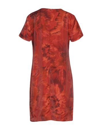 Платье LIVIANA CONTI