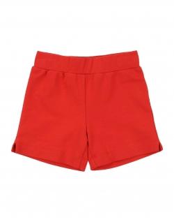 Шорты SPECIAL DAY