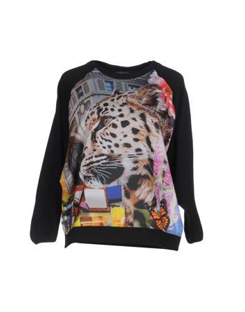 Толстовка ROBERTO CAVALLI GYM