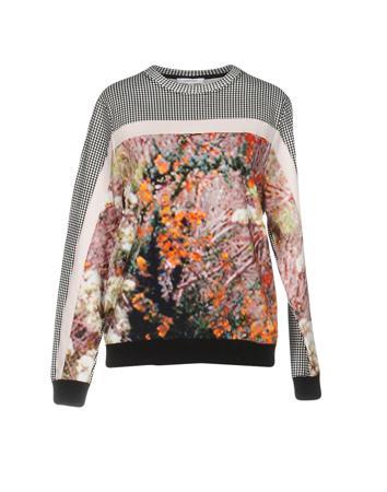 Толстовка CARVEN