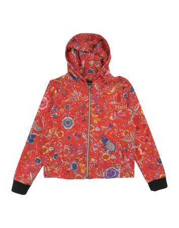 Толстовка ROBERTO CAVALLI