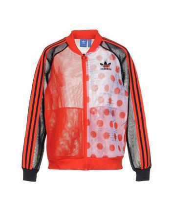 Толстовка ADIDAS ORIGINALS