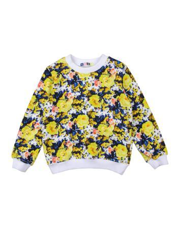 Толстовка MSGM