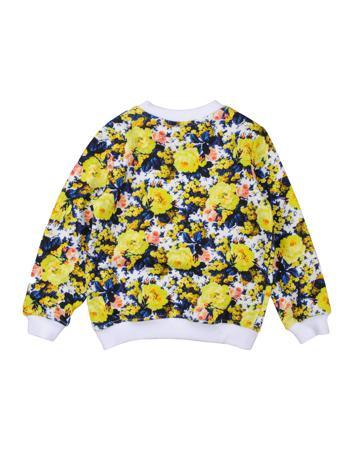 Толстовка MSGM
