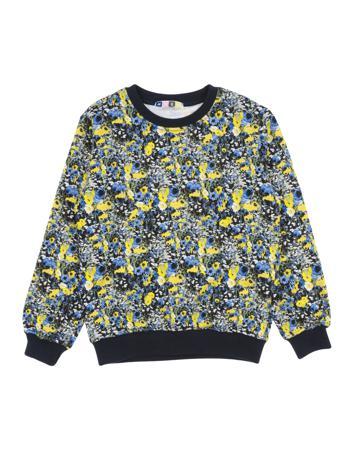 Толстовка MSGM