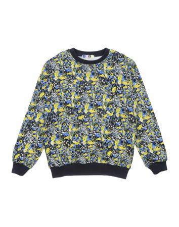 Толстовка MSGM