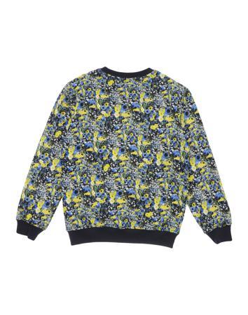 Толстовка MSGM