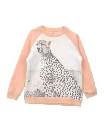 Толстовка POPUPSHOP