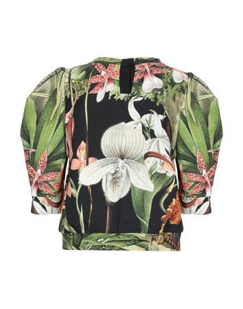 Толстовка ADAM LIPPES