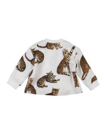 Толстовка DOLCE & GABBANA