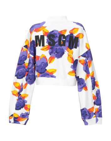 Толстовка MSGM
