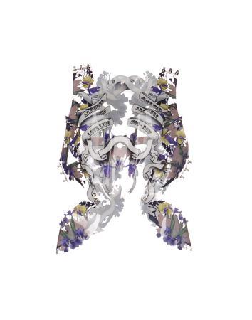 Топ WONDER ANATOMIE