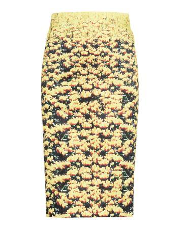 Юбка MARY KATRANTZOU