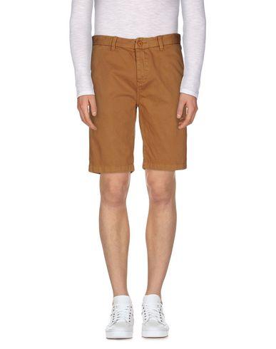 Бермуды  -  цвет