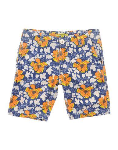 Бермуды  -  цвет