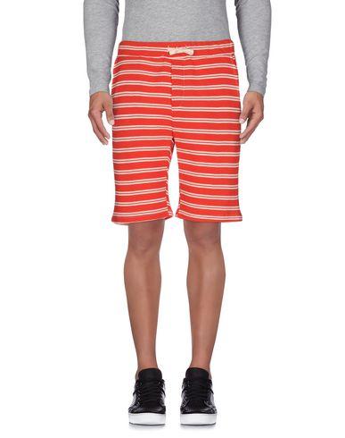 Бермуды  -  цвет