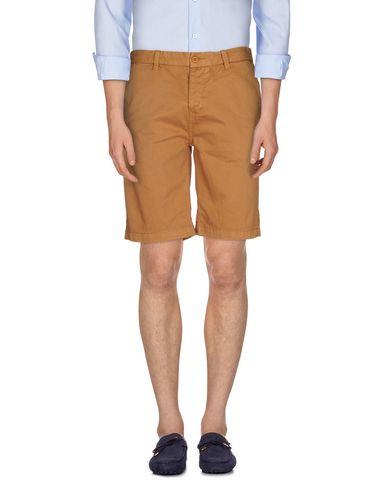 Брюки  -  цвет