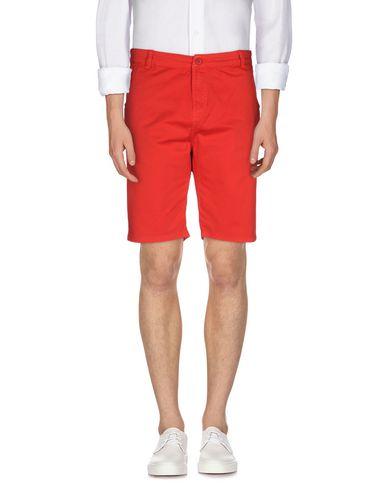 Брюки  -  цвет