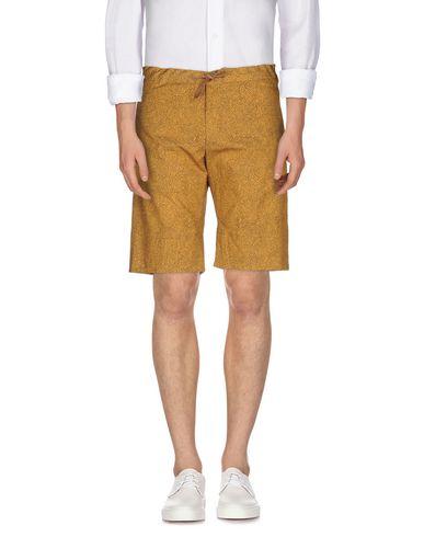 Брюки  -  цвет