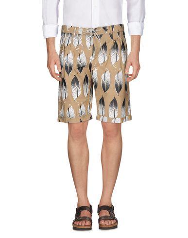 Брюки  -  цвет